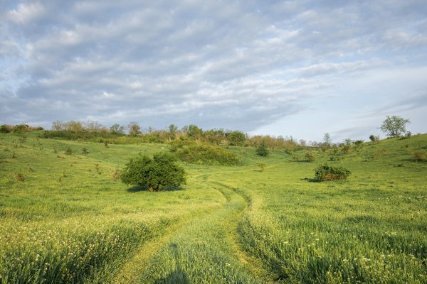 What are the top UK destinations for budget-friendly luxury?